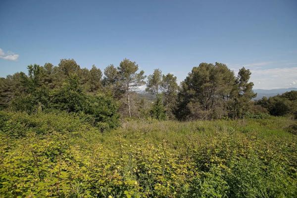 Terreno en calle d'Abelló, 16 thumbnail 2