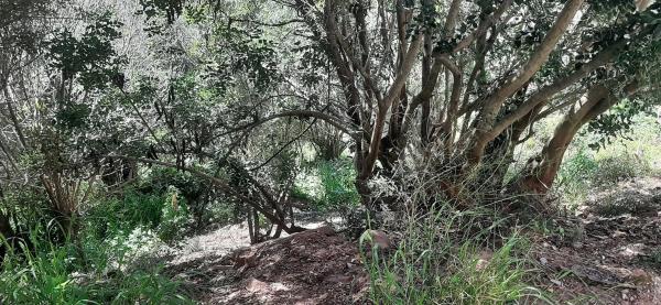 Terreno en calle Santa Magdalena, 9 thumbnail 2