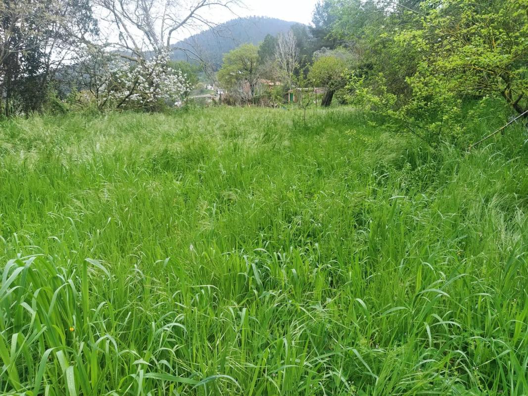 Участок земли на продажу в Корбера-де-Льобрегат, Барселона photo 3