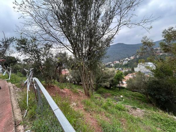 Terreno en Santa Magdalena photo 4