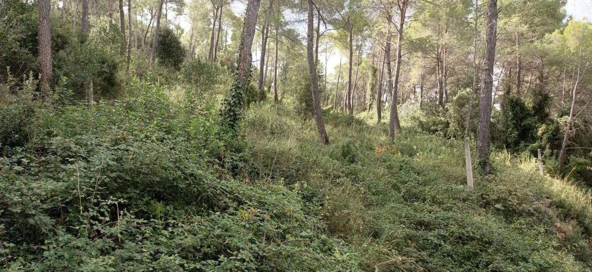 Terreno en venta en Corbera de Llobregat, Barcelona photo 2