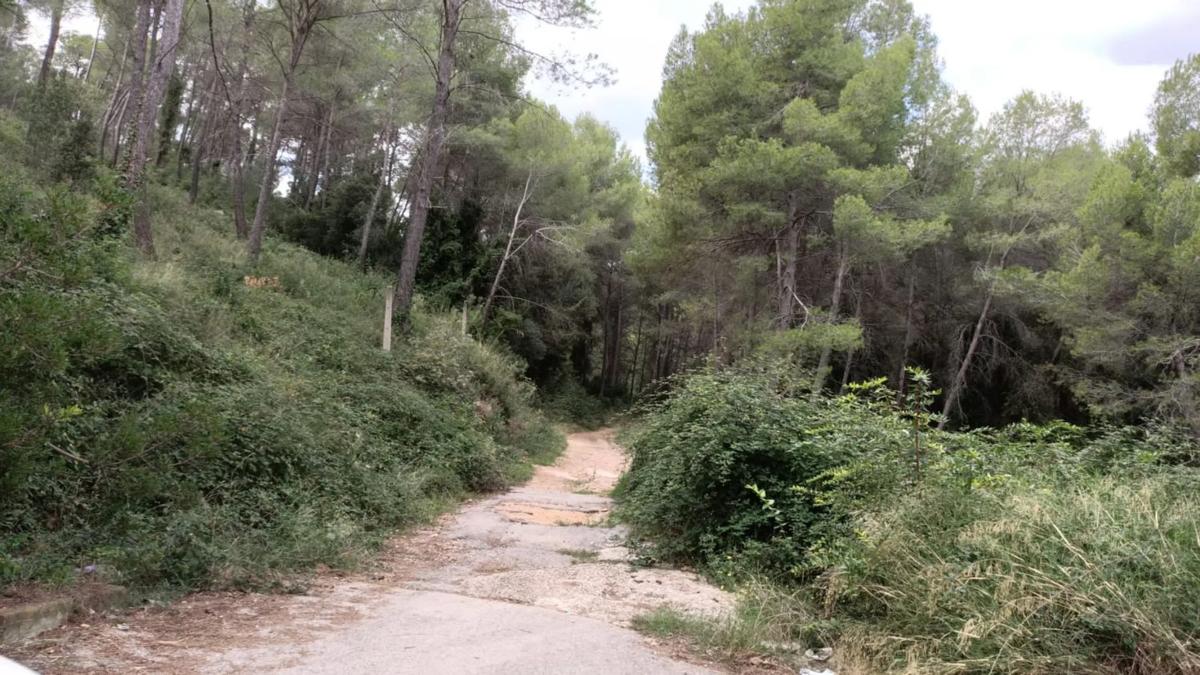 Terreno en venta en Corbera de Llobregat, Barcelona photo 4
