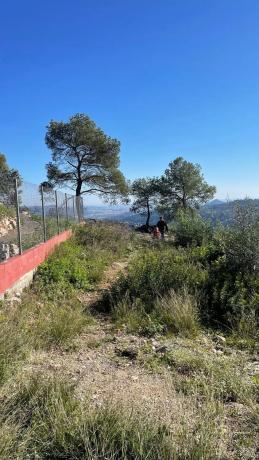 Terreno en calle del Moixeró, 18 photo 2