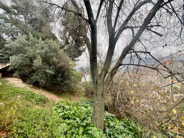 Terreno en calle Santa Magdalena thumbnail 2