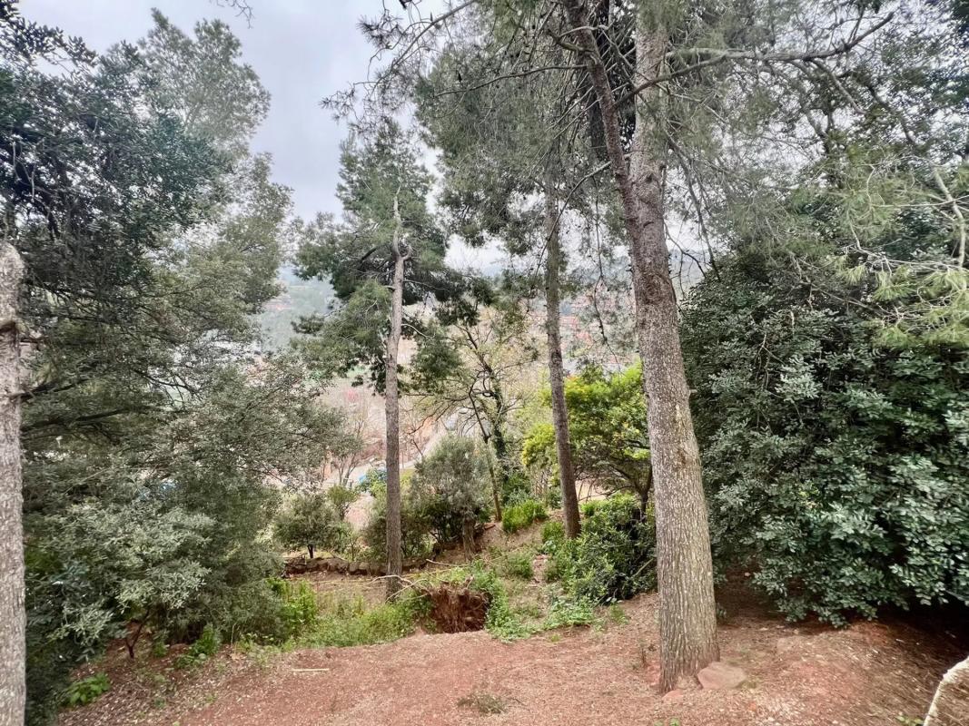 Terreno en venta en Corbera de Llobregat, Barcelona photo 5