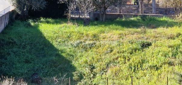 Terreno en Cervelló photo 4