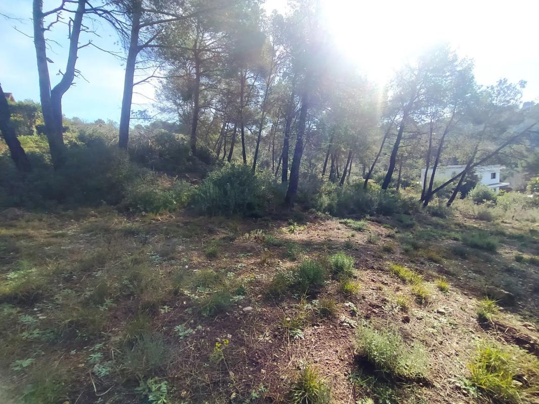 Terreno en venta en Corbera de Llobregat, Barcelona photo 4