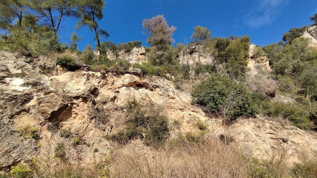 Działka na sprzedaż w La Palma de Cervelló, Barcelona photo 1