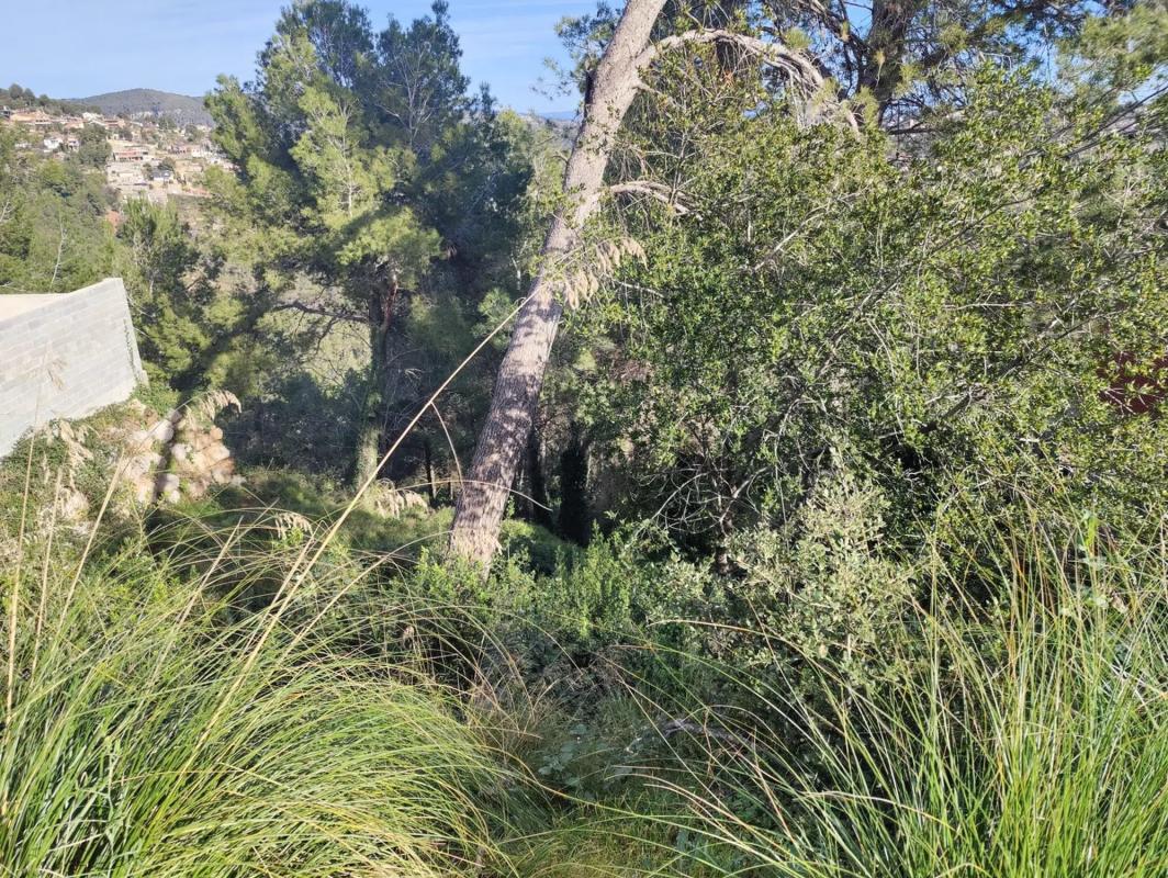 Działka na sprzedaż w Vallirana, Barcelona photo 4