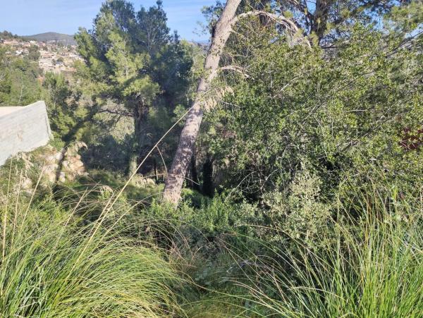 Terreno en calle Bona-Vall, 7 photo 4