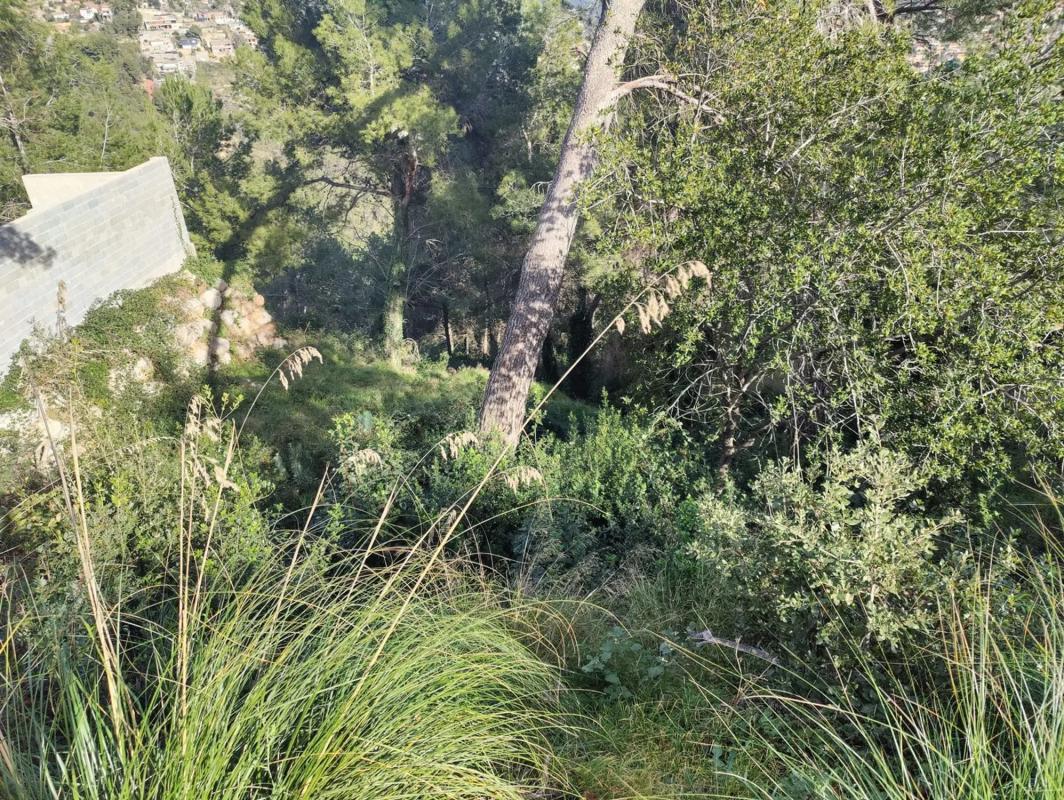 Działka na sprzedaż w Vallirana, Barcelona photo 5