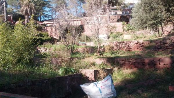 Terreno en calle del Xarel·lo s/n thumbnail 1