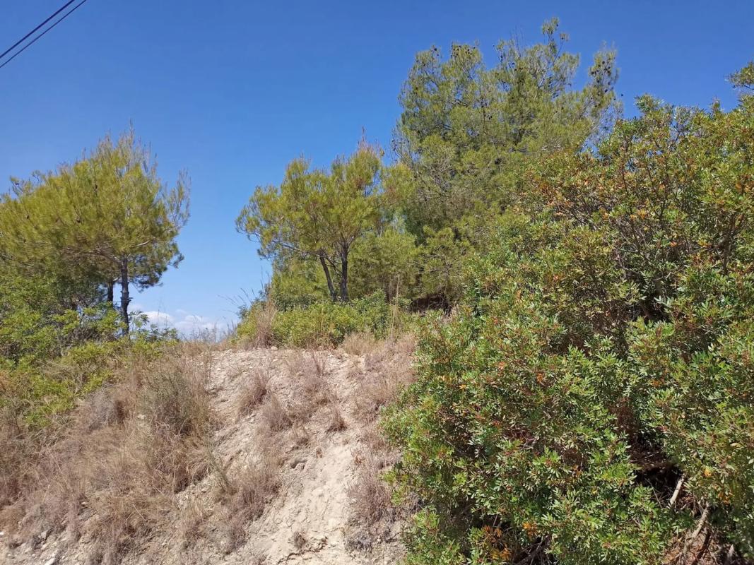 Terreno en venta en Olesa de Montserrat, Barcelona photo 2