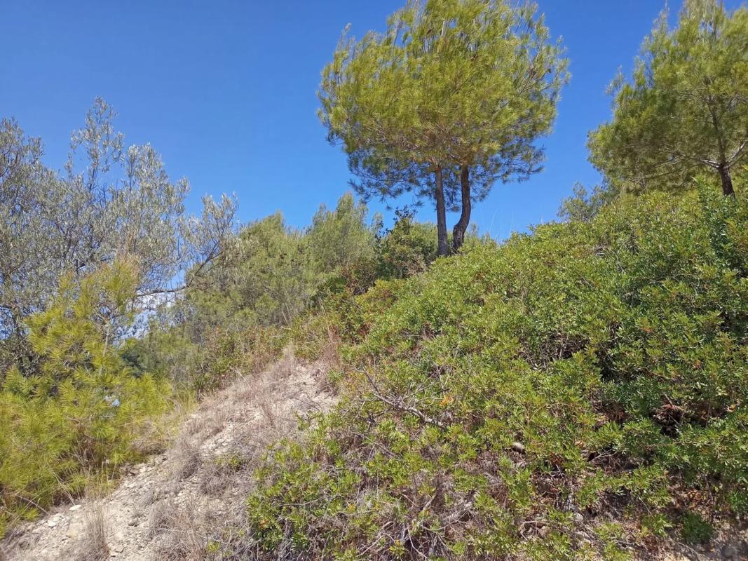 Terreno en venta en Olesa de Montserrat, Barcelona photo 5
