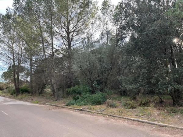 Terreno en Collbató photo 1