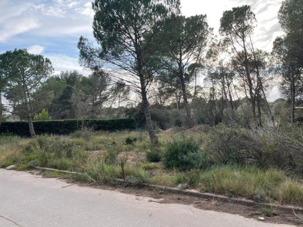 Terreno en Collbató photo 3