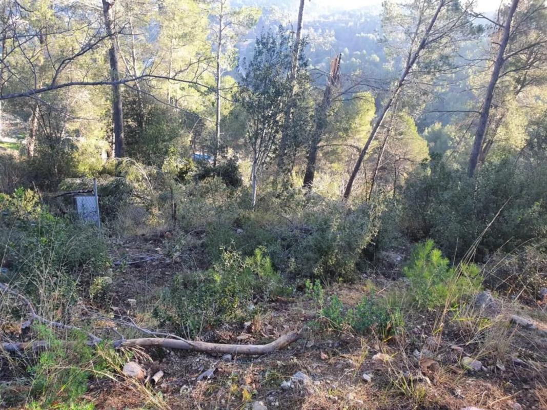 Terreno en venta en Corbera de Llobregat, Barcelona photo 5