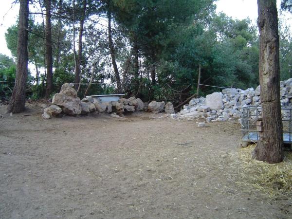 Terreno en Vallirana photo 1
