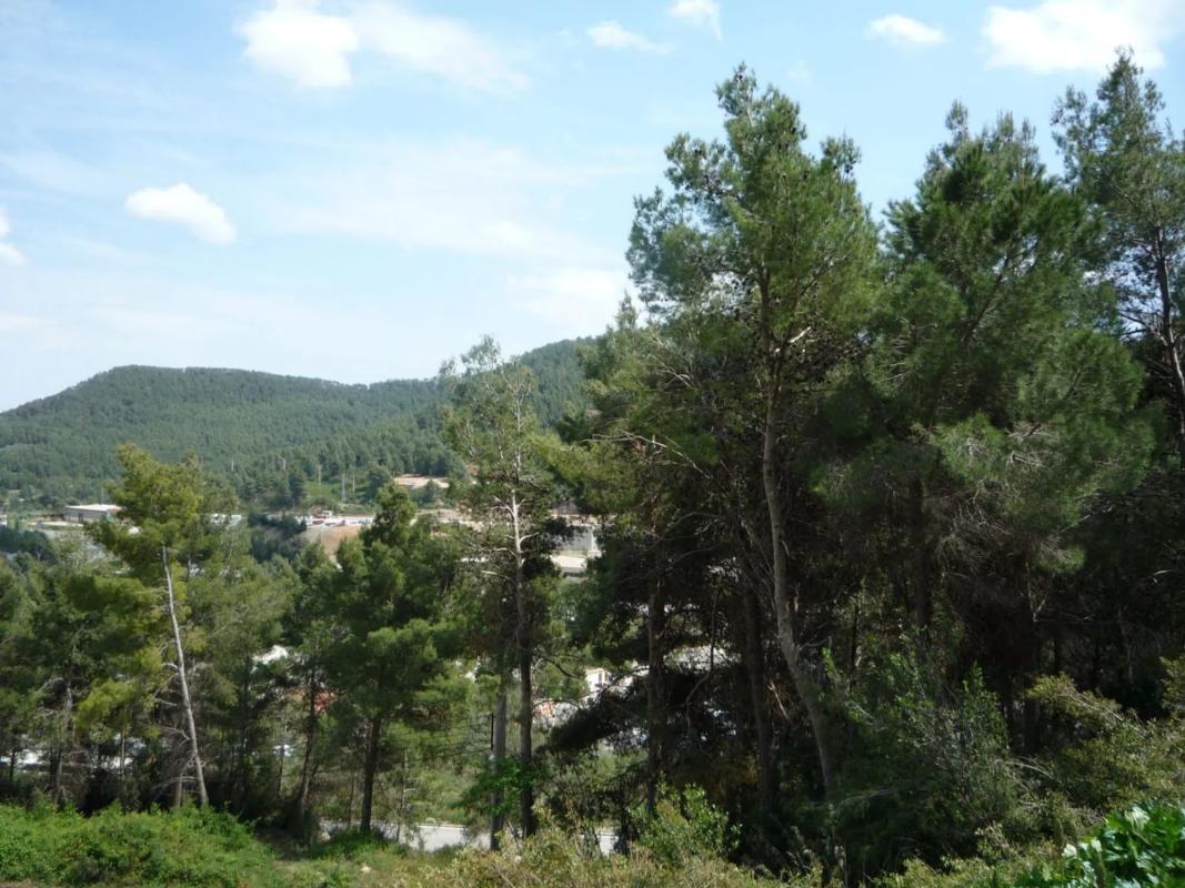 Land for sale in Vallirana, Barcelona photo 4