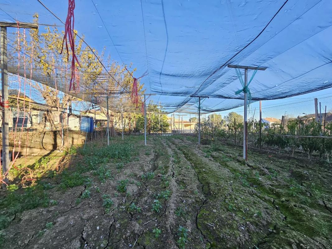 Terreno en venta en Abrera, Barcelona photo 5
