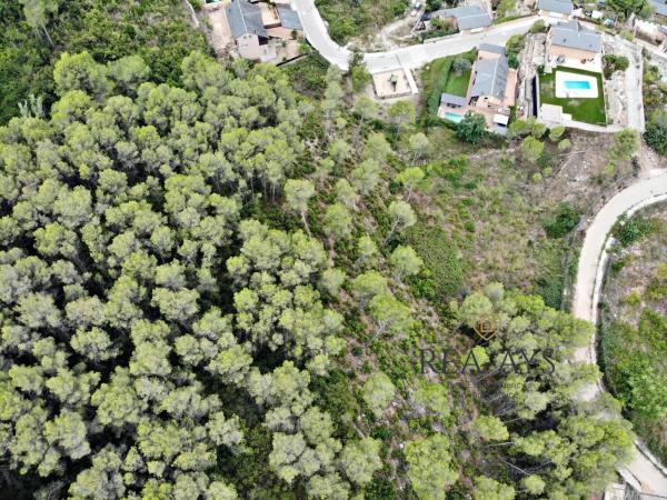 Terreno en avenida dels Pinars thumbnail 1