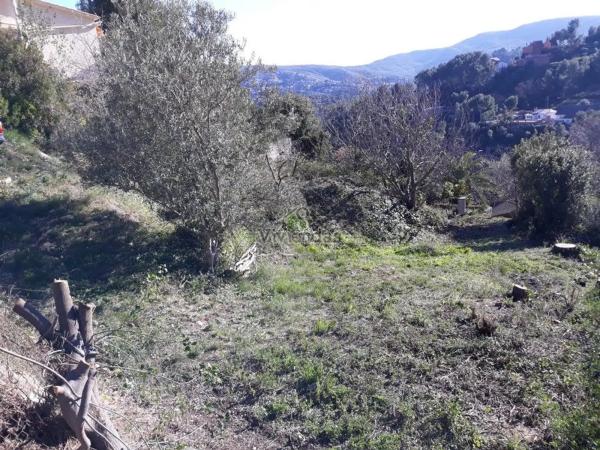 Terreno en Vallirana photo 1