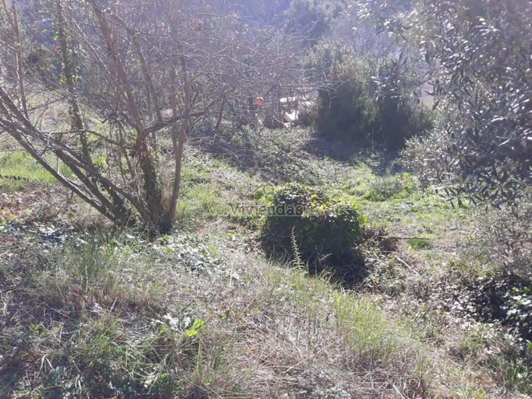 Land for sale in Vallirana, Barcelona photo 4