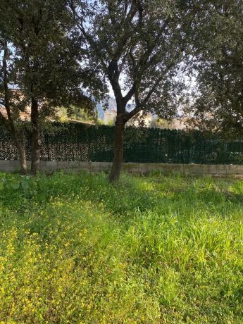 Terreno en calle Dosrius, 29 photo 4