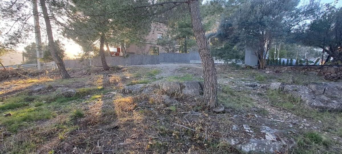 Участок земли на продажу в Вальриана, Барселона photo 5