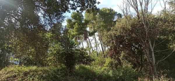 Terreno en Abrera photo 1