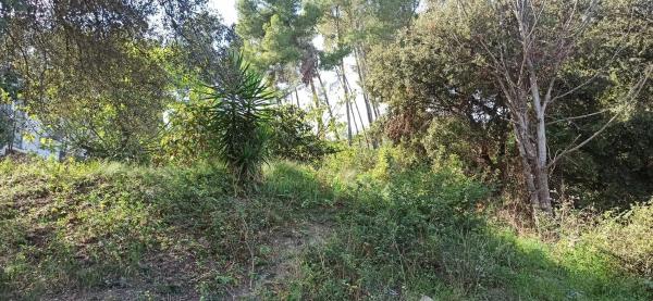 Terreno en Abrera photo 2