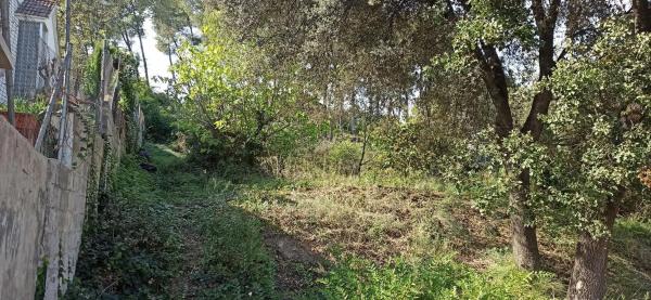 Terreno en Abrera photo 4