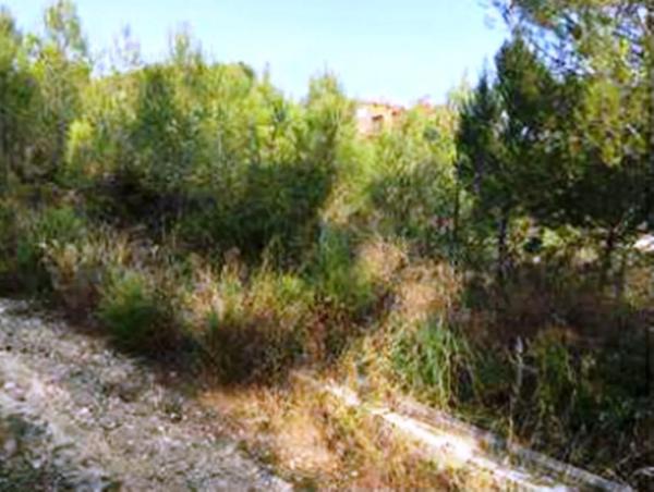 Terreno en calle Ter photo 4