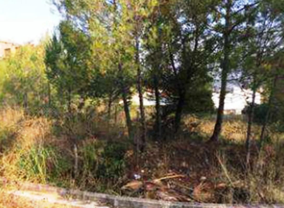 Land for sale in Sant Andreu de la Barca, Barcelona photo 5