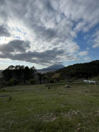 Terreno en Bv-1201, 1201 Bv photo 2