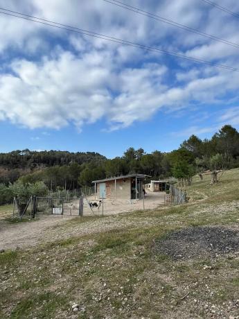 Terreno en Bv-1201, 1201 Bv photo 4