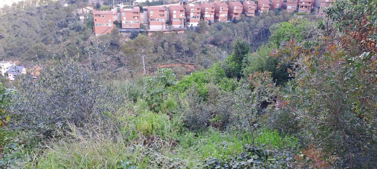 Terreno en venta en Vallirana, Barcelona photo 5