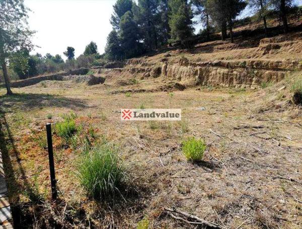 Terreno en calle Puig de Mira s/n photo 1