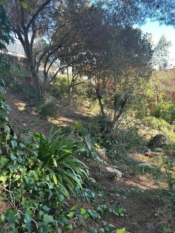 Terreno en calle de Migjorn photo 1