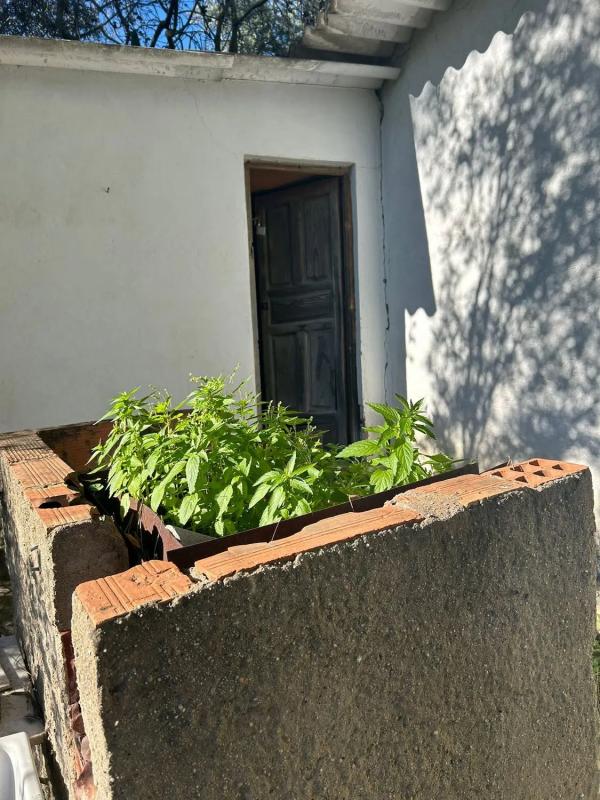 Участок земли на продажу в Вальриана, Барселона photo 2