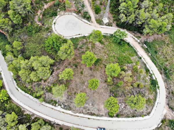 Terreno en avenida dels Pinars photo 1