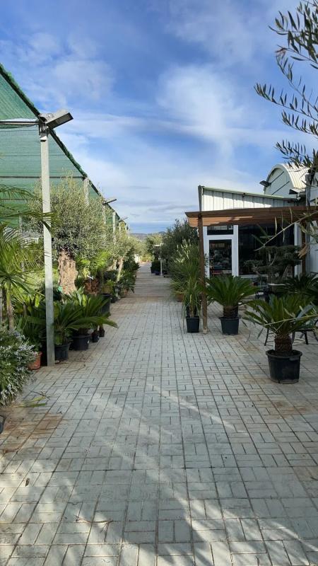 Terreno en venta en Olesa de Montserrat, Barcelona photo 4