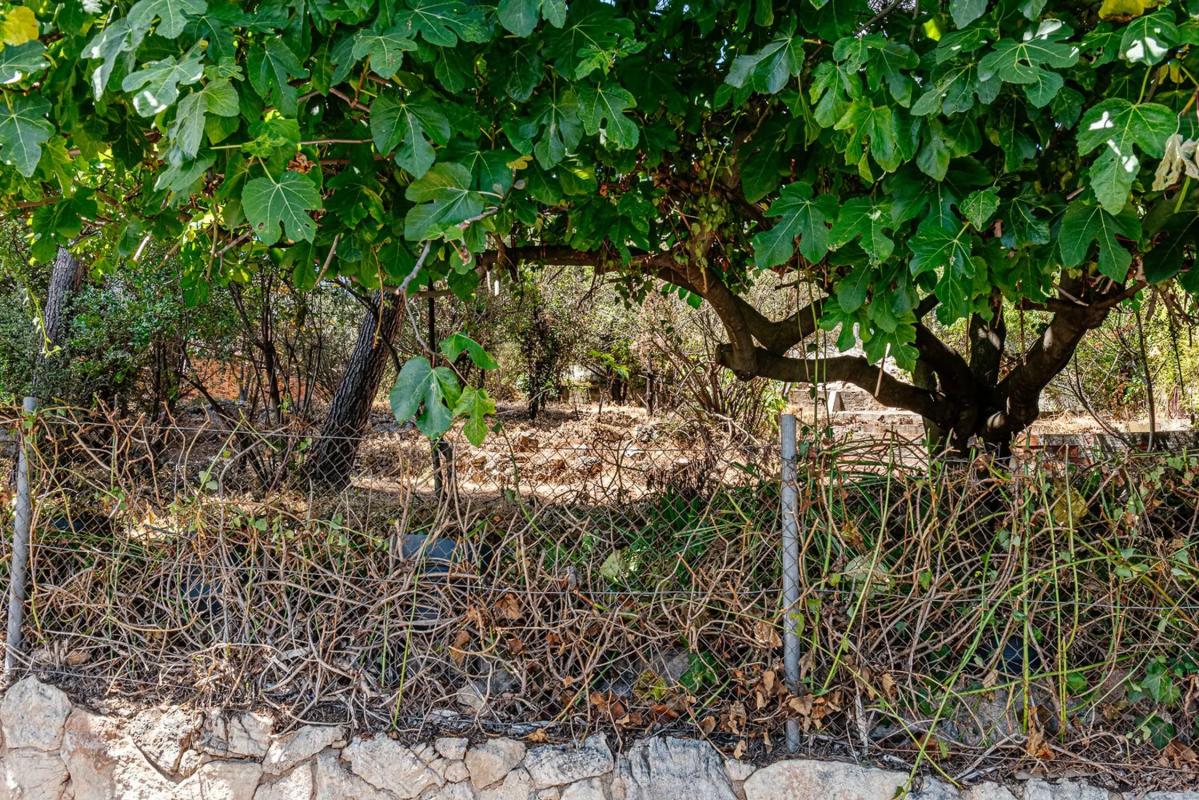 Land for sale in Pallejà, Barcelona photo 3