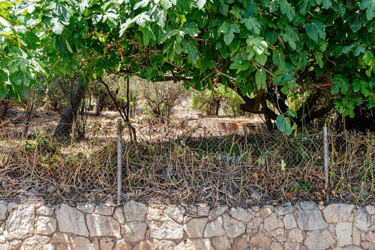 Land for sale in Pallejà, Barcelona photo 5
