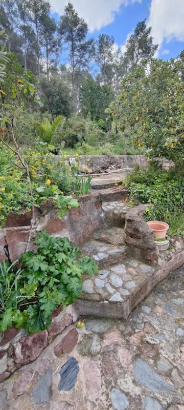 Land for sale in Vallirana, Barcelona photo 2