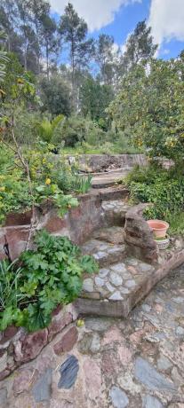Terreno en calle Vicenç Bou, 14 thumbnail 1
