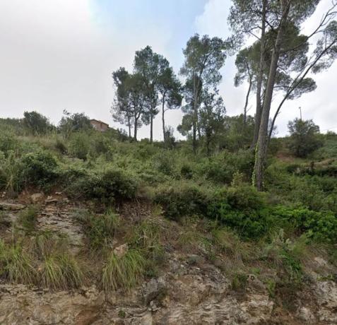 Terreno en calle Moreneta, 26 photo 4