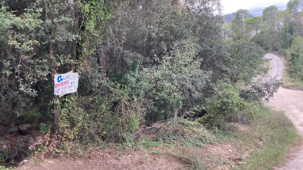 Terreno en Cervelló photo 3