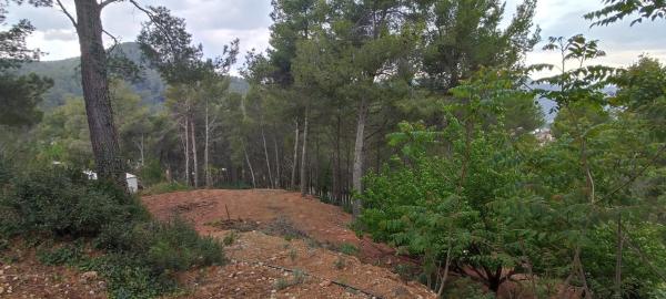 Terreno en calle Osona photo 1