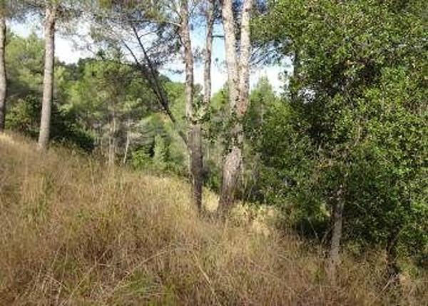 Terreno en avenida de les Cases Pairals s/n photo 1